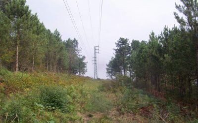 Land Management