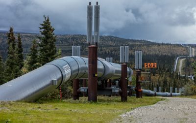 Gas Consultancy