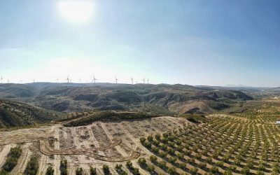 Martin de la Jara Wind Farm (Malaga)